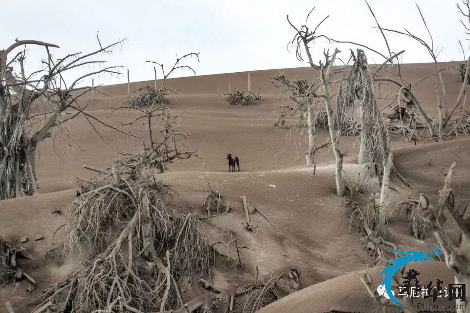 震撼记录：塔尔火山爆发后塔尔岛上死气沉沉，一片废墟！w4.jpg