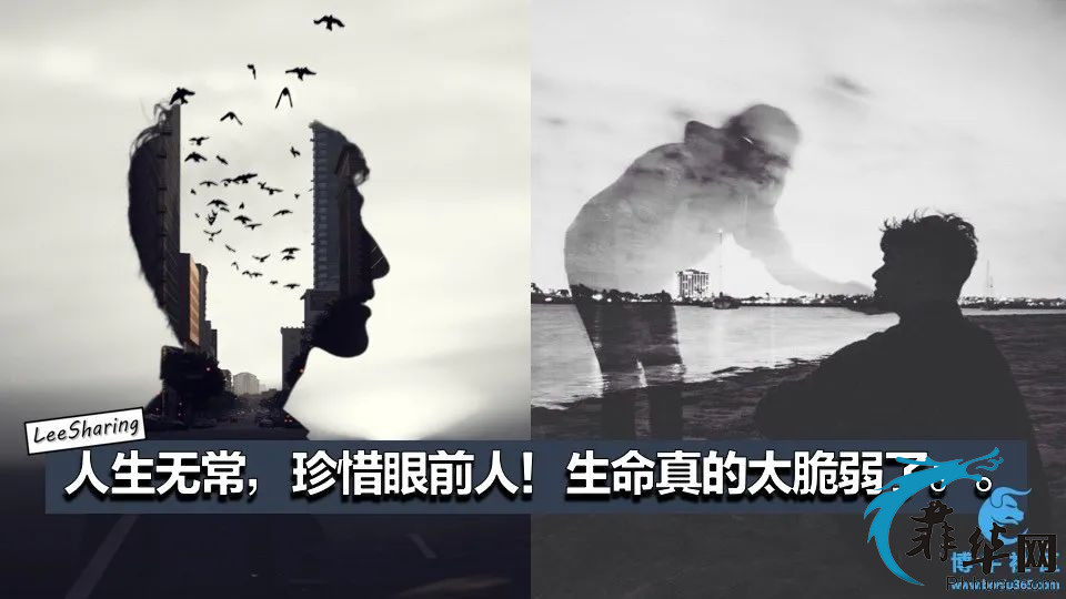 幻境再美终是梦，珍惜眼前始为真！w7.jpg