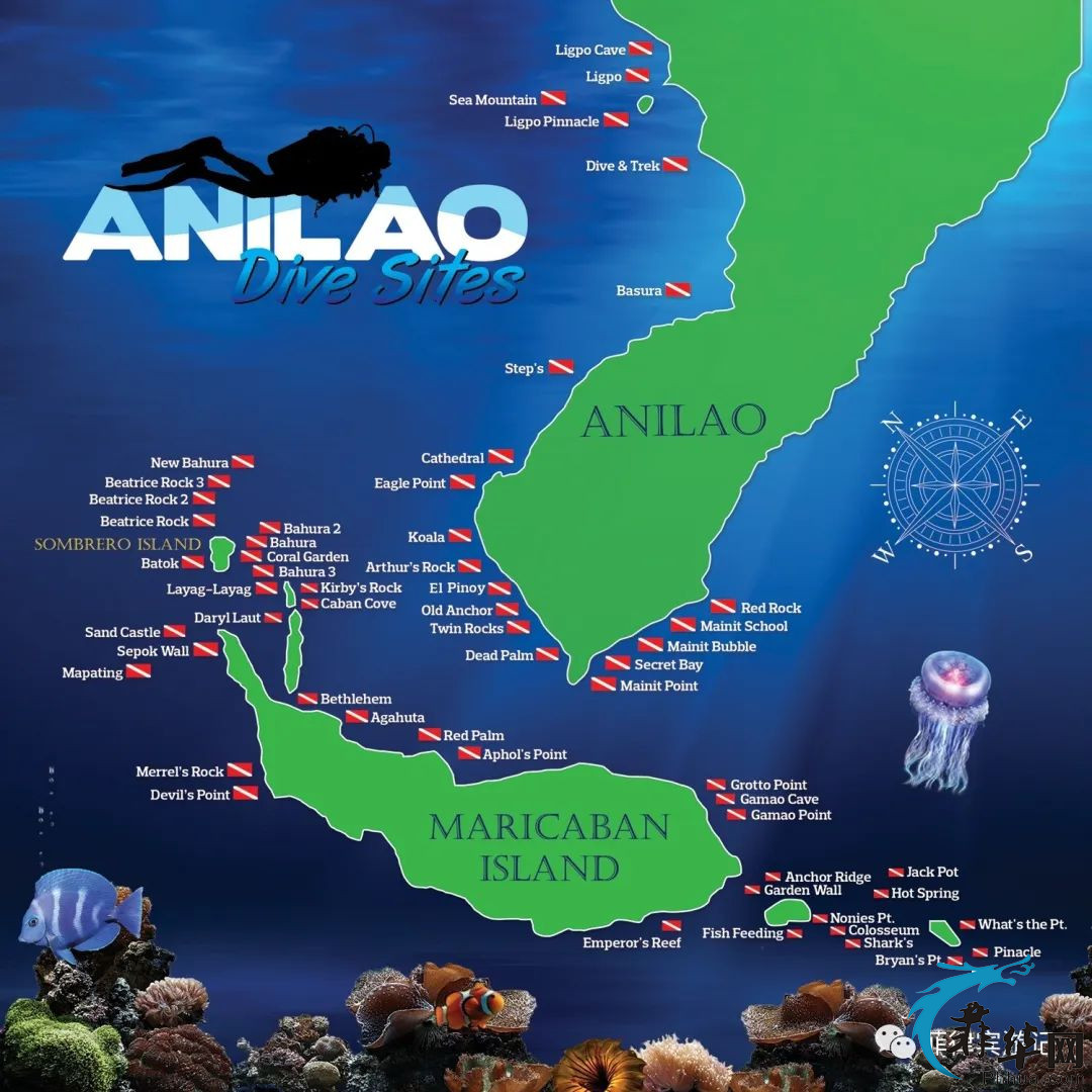 离马尼拉最近的潜水点 - 阿尼洛w4.jpg