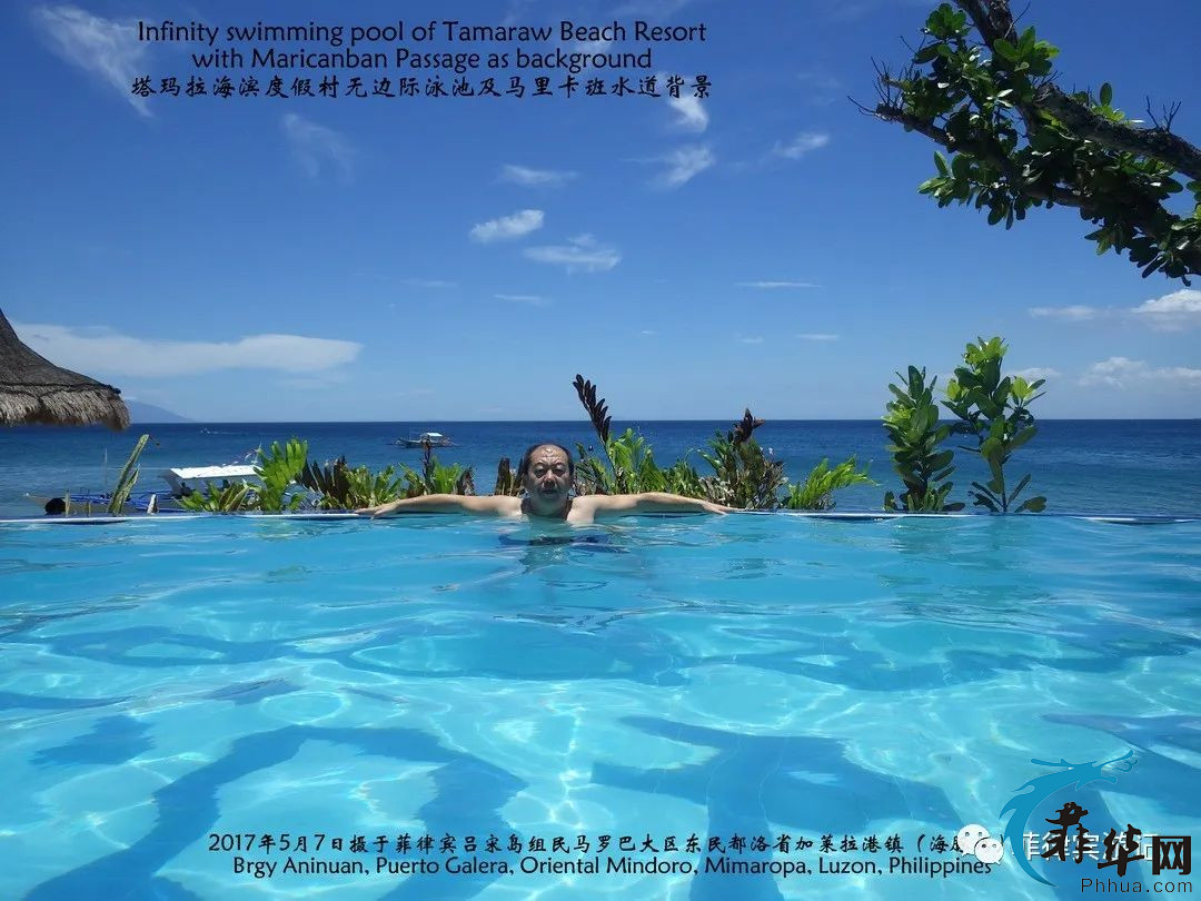 海豚湾：世界最美海湾俱乐部的唯一菲律宾成员w15.jpg