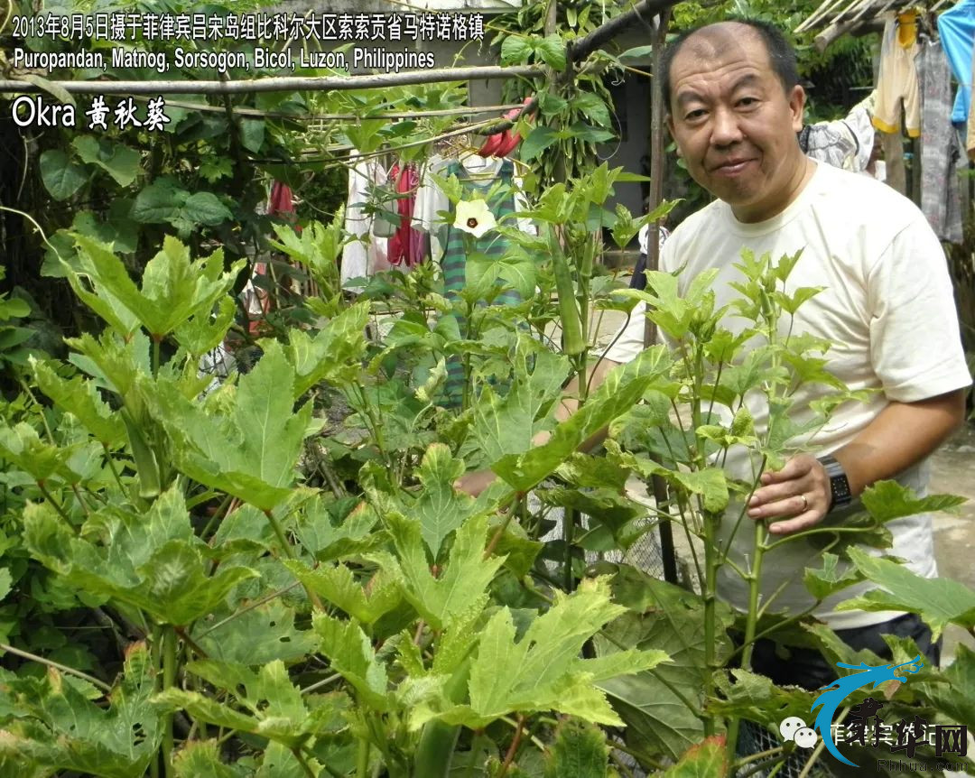 小海湾的宝藏待发掘、但其美景和美食是现成的 …w34.jpg