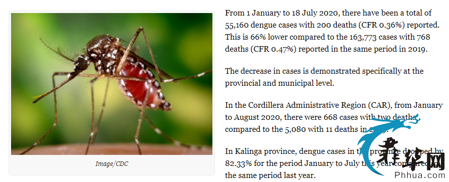 那些年，我在菲律宾被蚊子叮，得登革热的日子w8.jpg
