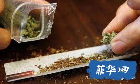 菲警方发现大麻需求量增加，是否为毒品沙雾的替代品w4.jpg