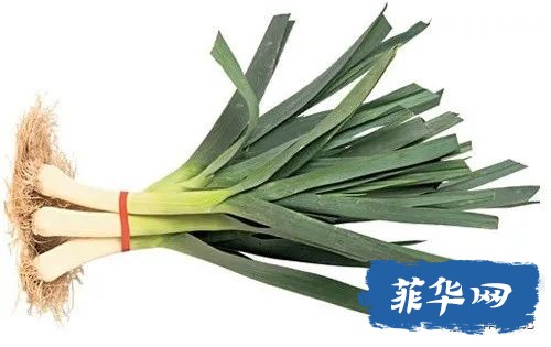 总说菲律宾的龙虾是白菜价！咋不说白菜是龙虾价吗？w4.jpg