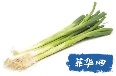 总说菲律宾的龙虾是白菜价！咋不说白菜是龙虾价吗？w2.jpg