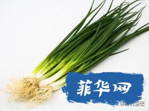 总说菲律宾的龙虾是白菜价！咋不说白菜是龙虾价吗？w3.jpg