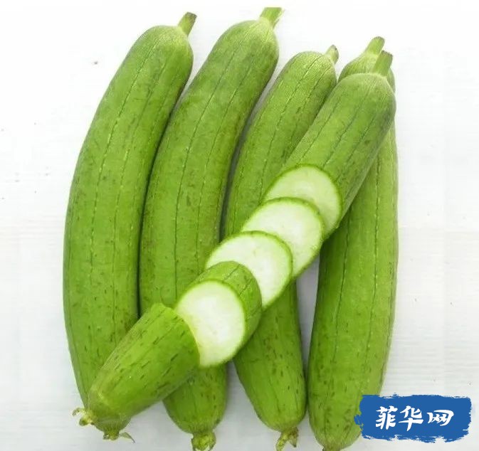 总说菲律宾的龙虾是白菜价！咋不说白菜是龙虾价吗？w21.jpg