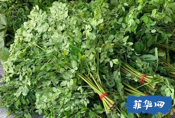 总说菲律宾的龙虾是白菜价！咋不说白菜是龙虾价吗？w40.jpg