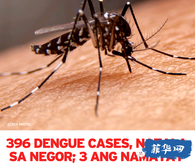 这几天我们所在的菲律宾小省发布了疫情公告 警惕登革热！w6.jpg