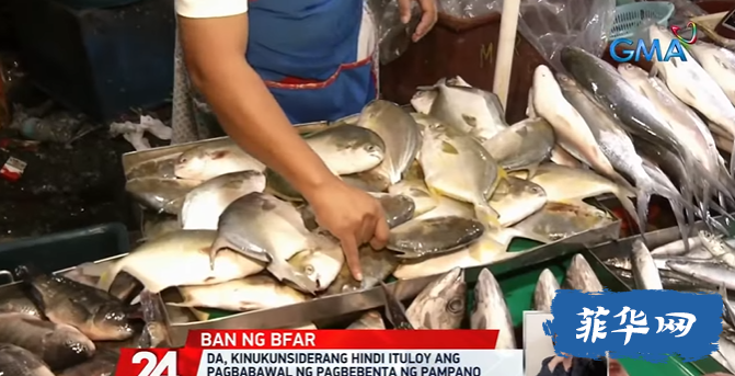 菲律宾9-12月份机场抵达人数比去年更高//菲农业部考虑取消传统市场销售进口鲑鱼禁令w2.jpg