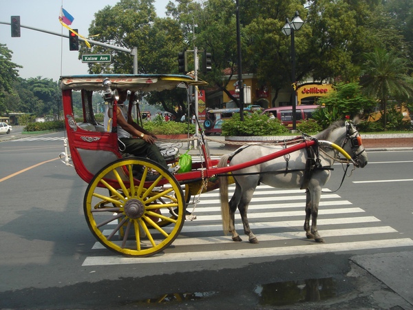 觀光馬車.JPG 觀光馬車.JPG