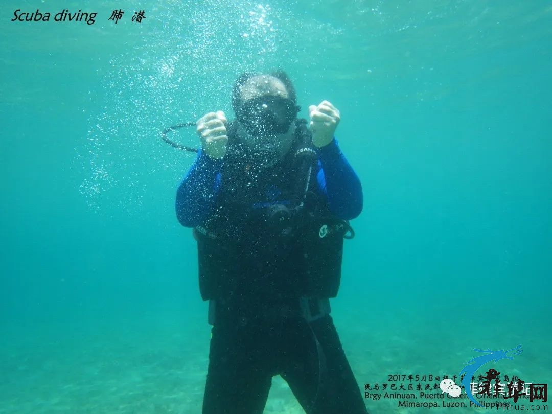 世界最美海湾俱乐部的唯一菲律宾成员 - 海豚湾w16.jpg