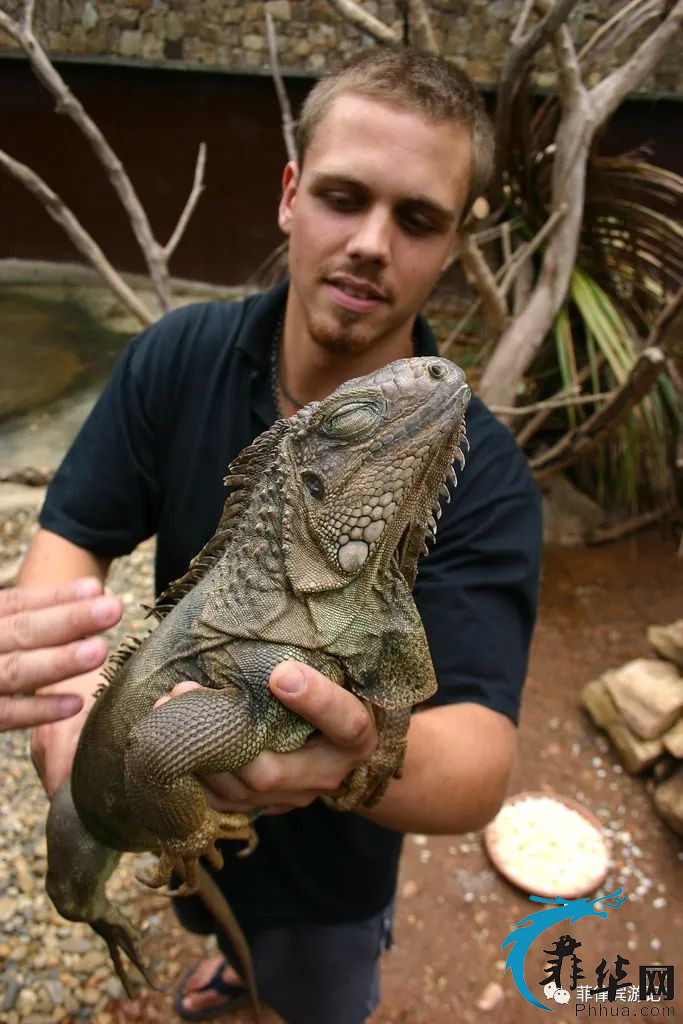 世界最美海湾俱乐部的唯一菲律宾成员 - 海豚湾w30.jpg