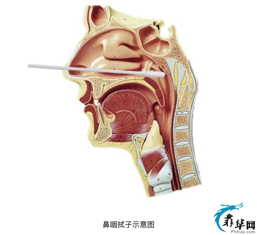 省钱回国经验：1张回国机票+14天隔离=1张常规机票w6.jpg