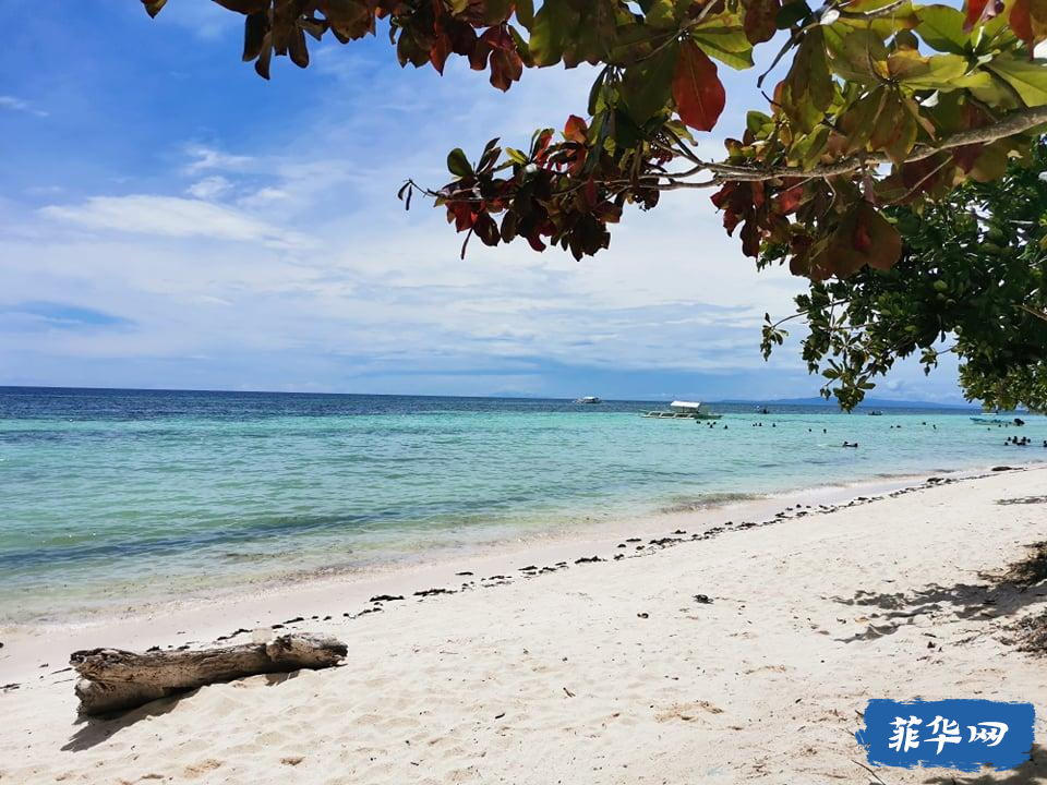 薄荷岛将于11月15日向国内游客开放//亿万富翁维拉尔，帕奎奥仍然是菲律宾最富有的参议员w3.jpg