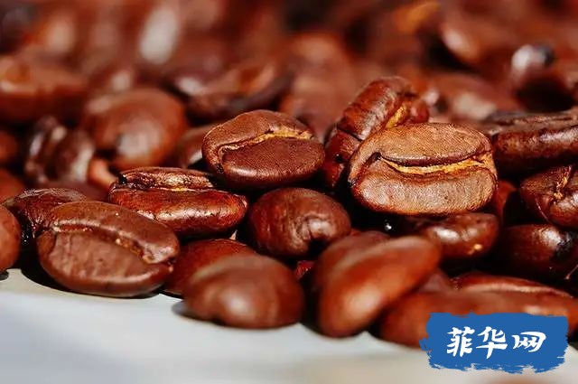 菲律宾最贵咖啡豆是从猫屎中提取的？每公斤上万元，其魅力何在？w6.jpg
