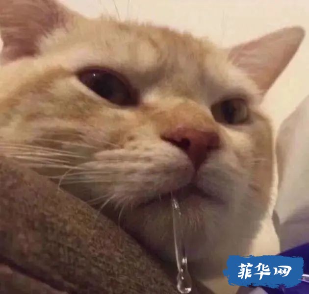 @在菲韩剧迷们，超级推荐碧瑶的这家#Seollem Café！w13.jpg