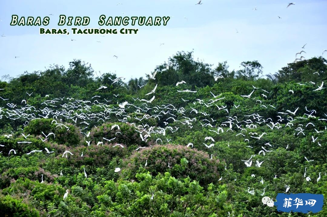 沿泛菲律宾公路在棉兰老岛的自驾游之旅w38.jpg