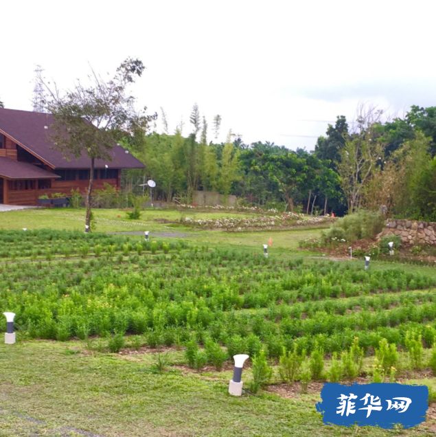 【周末推荐】Angelfield大雅台度假农场w9.jpg