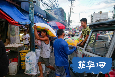 小马保证中菲友谊长存！政府宣布多地无非洲猪瘟！w7.jpg