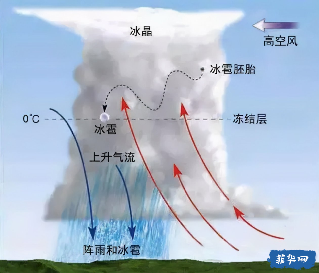 菲律宾居然下起了小拇指大小的冰雹，意不意外？惊不惊喜？w12.jpg