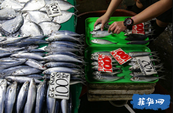 政府批准 112 亿比索渔业项目w1.jpg