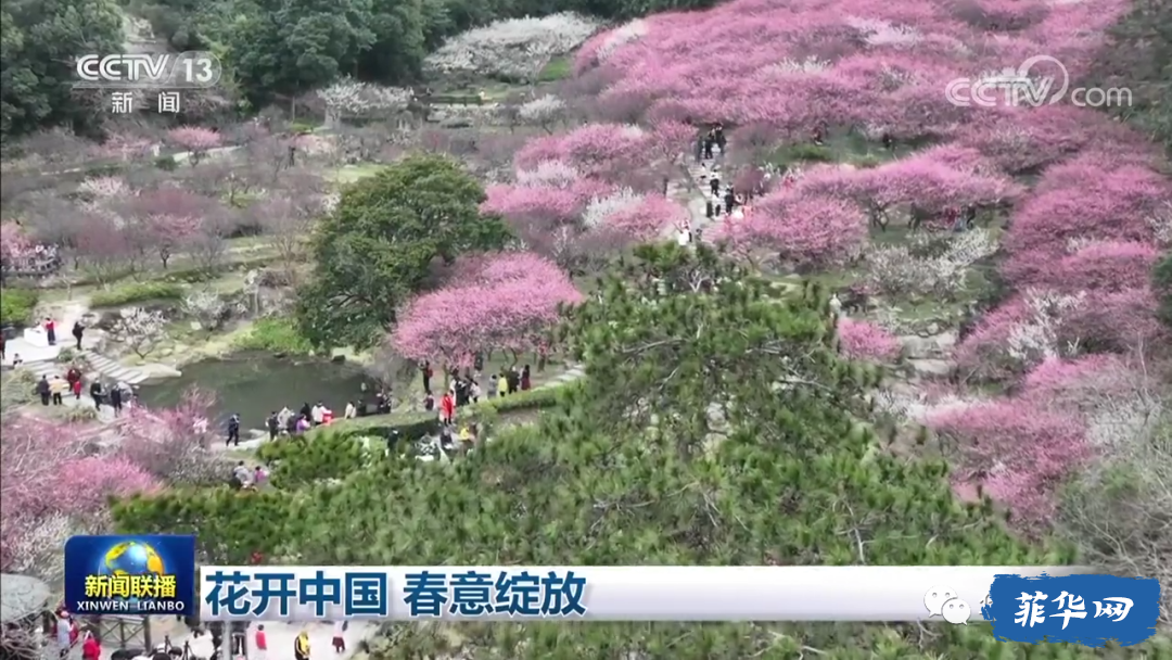 为获取居留权 与菲女办假结婚被捕！移民局：警惕网上移民服务骗局！w31.jpg