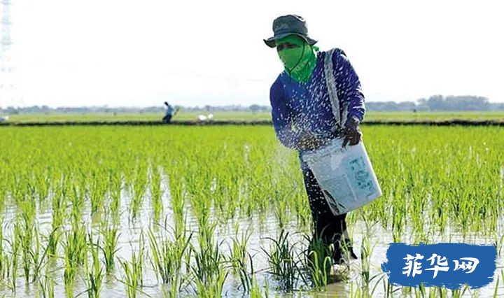 菲律宾82%农田土壤不肥沃 官员提醒不应盲目施肥w9.jpg