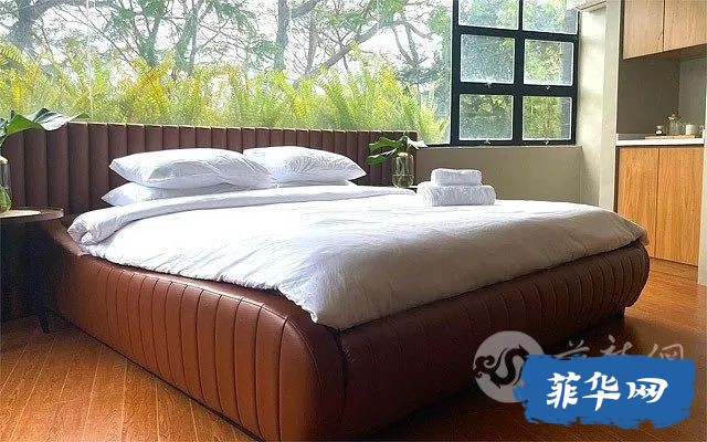 【大雅台】9个可以带宠物入住的酒店+度假村！w8.jpg