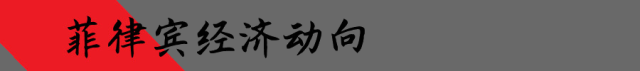 达沃杨某在帕塞被捕！2028年总统民调出炉！w26.jpg