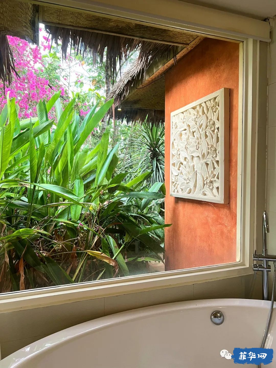 千百种生活之--我在菲律宾当岛民