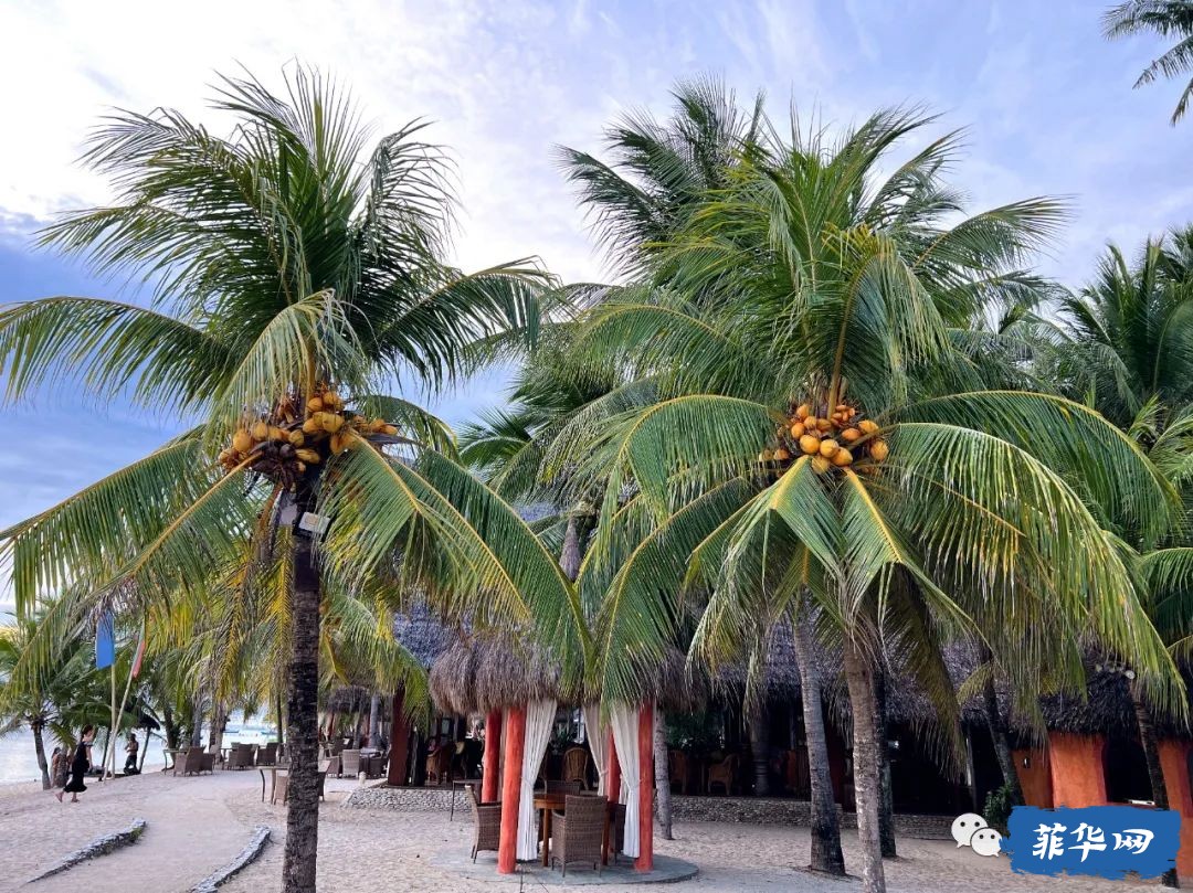 千百种生活之--我在菲律宾当岛民