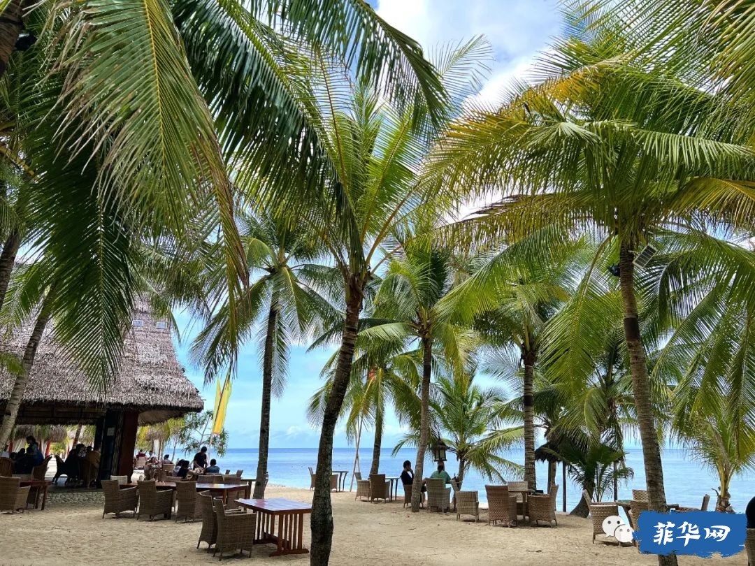 千百种生活之--我在菲律宾当岛民