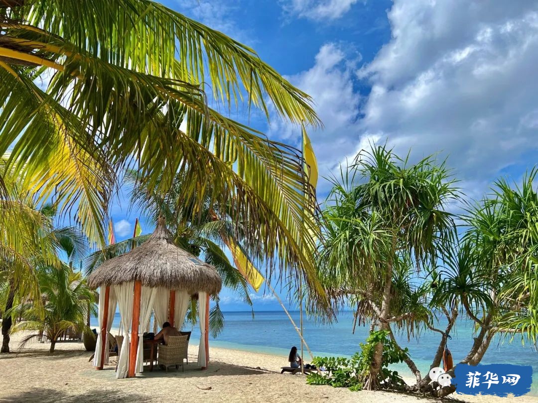 千百种生活之--我在菲律宾当岛民