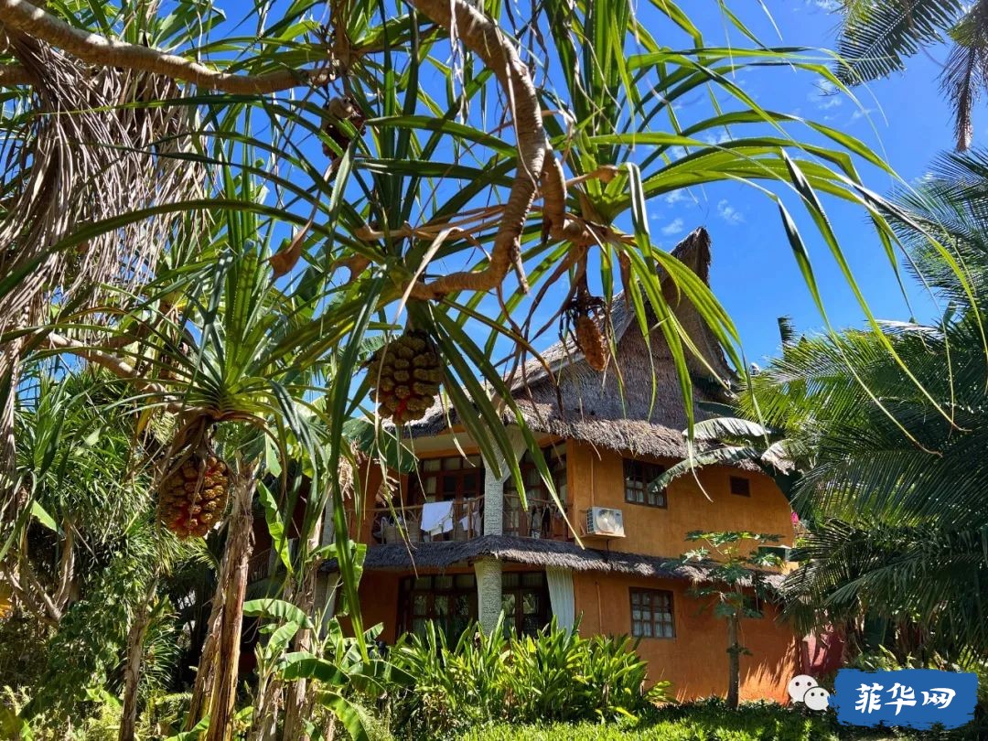 千百种生活之--我在菲律宾当岛民