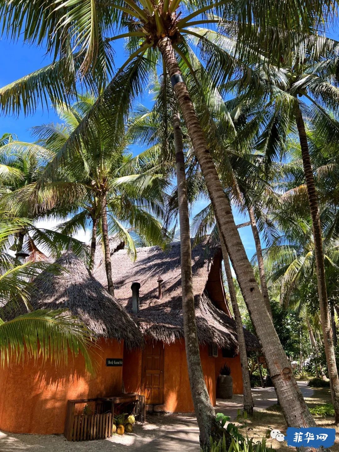 千百种生活之--我在菲律宾当岛民