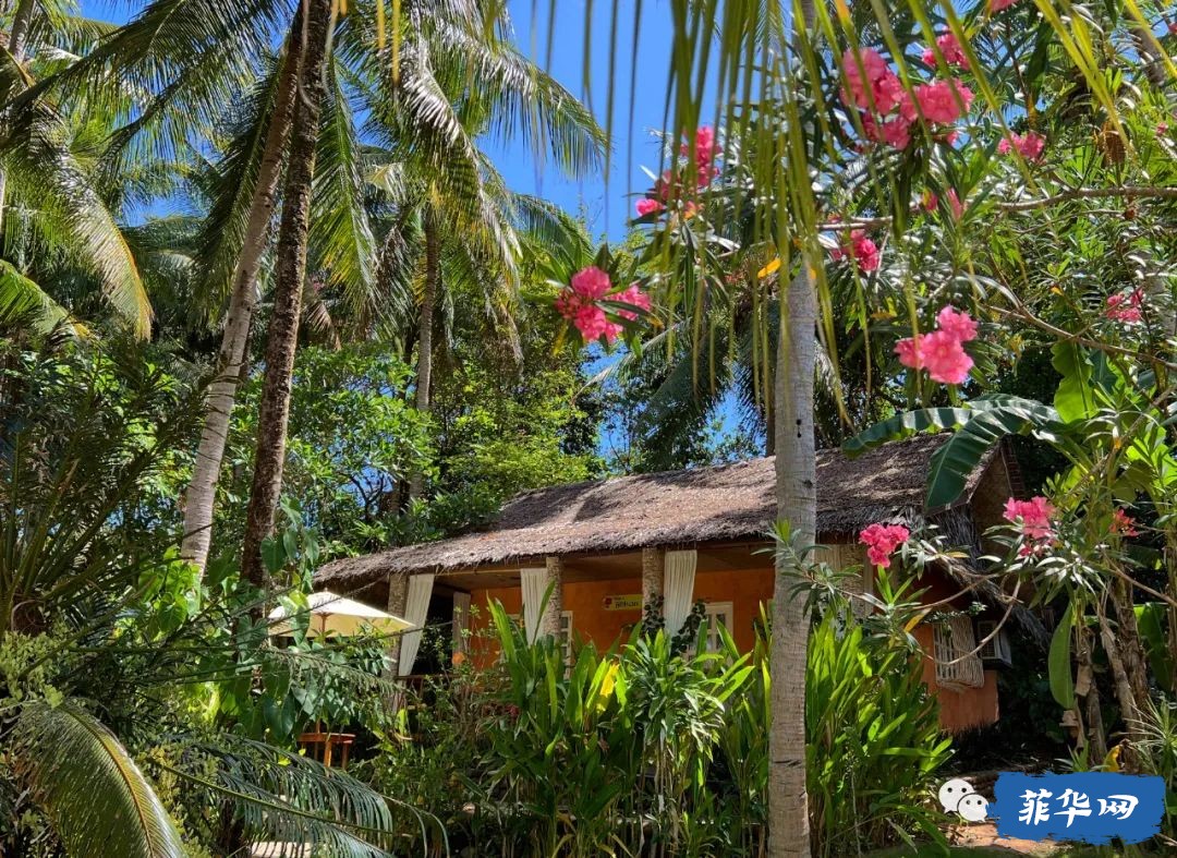 千百种生活之--我在菲律宾当岛民