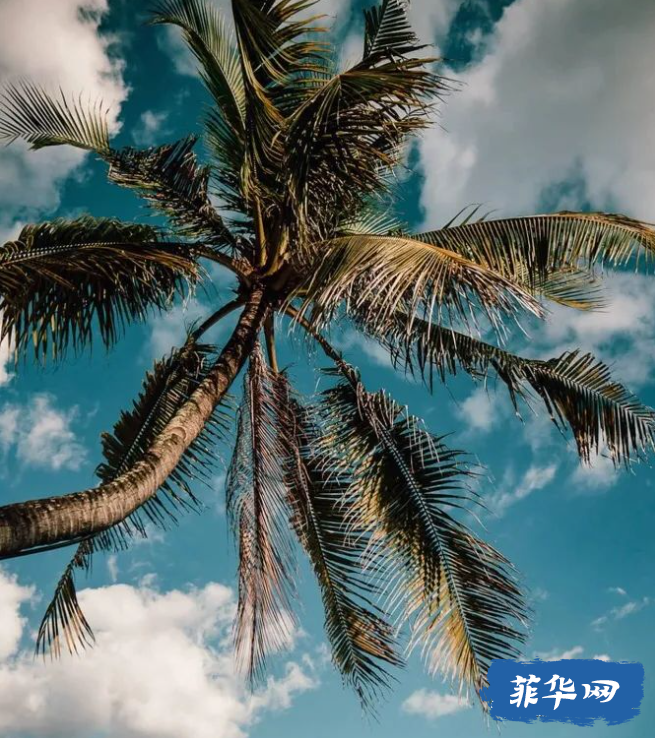 菲律宾最接近天堂的地方-薄荷岛（陆地篇）w4.jpg