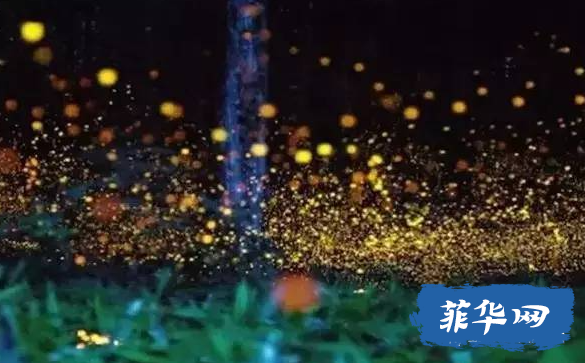 菲律宾最接近天堂的地方-薄荷岛（陆地篇）w13.jpg