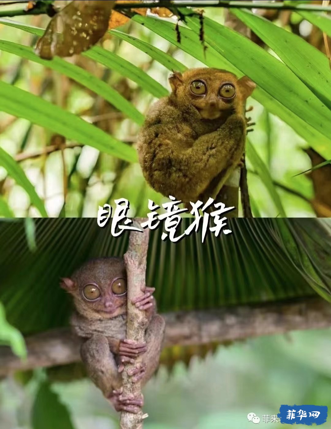 微信图片_20231116103734.jpg