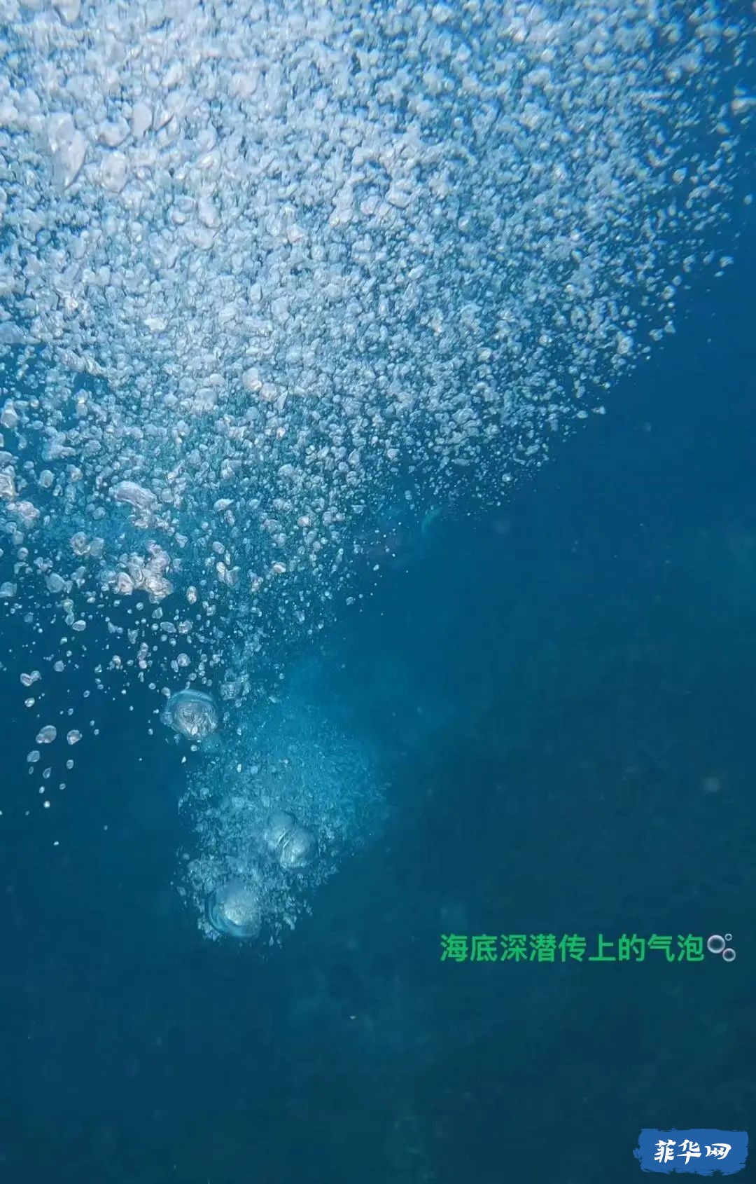 2023.11.30-12.2菲律宾宿务环线旅游之墨宝（含全程开支）w11.jpg