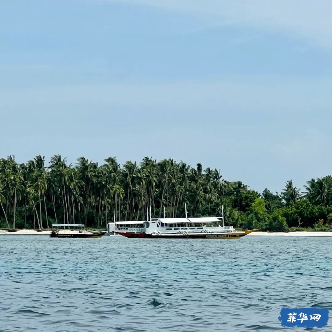 菲律宾Bohol Island - 50瓶才开始的「伪」电子潜水日志 -w2.jpg