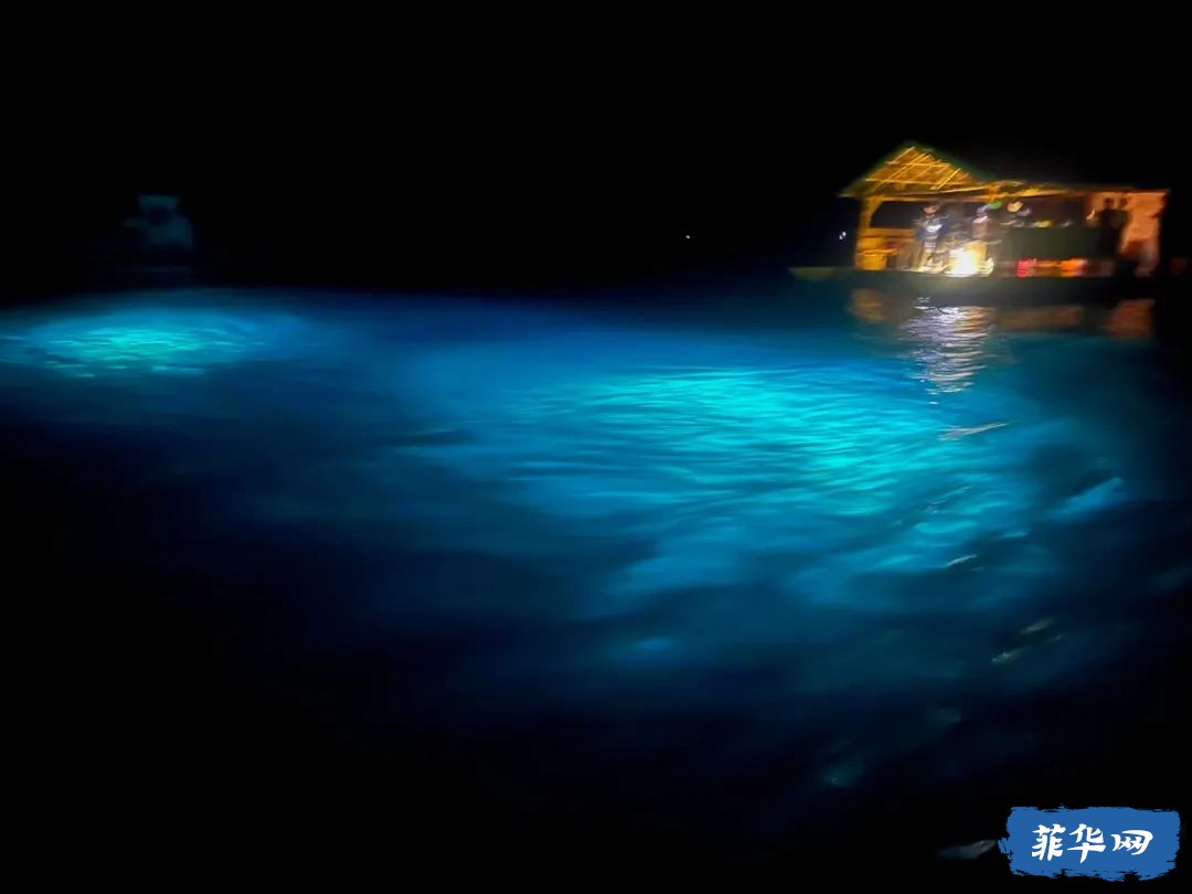 菲律宾Bohol Island - 50瓶才开始的「伪」电子潜水日志 -w15.jpg