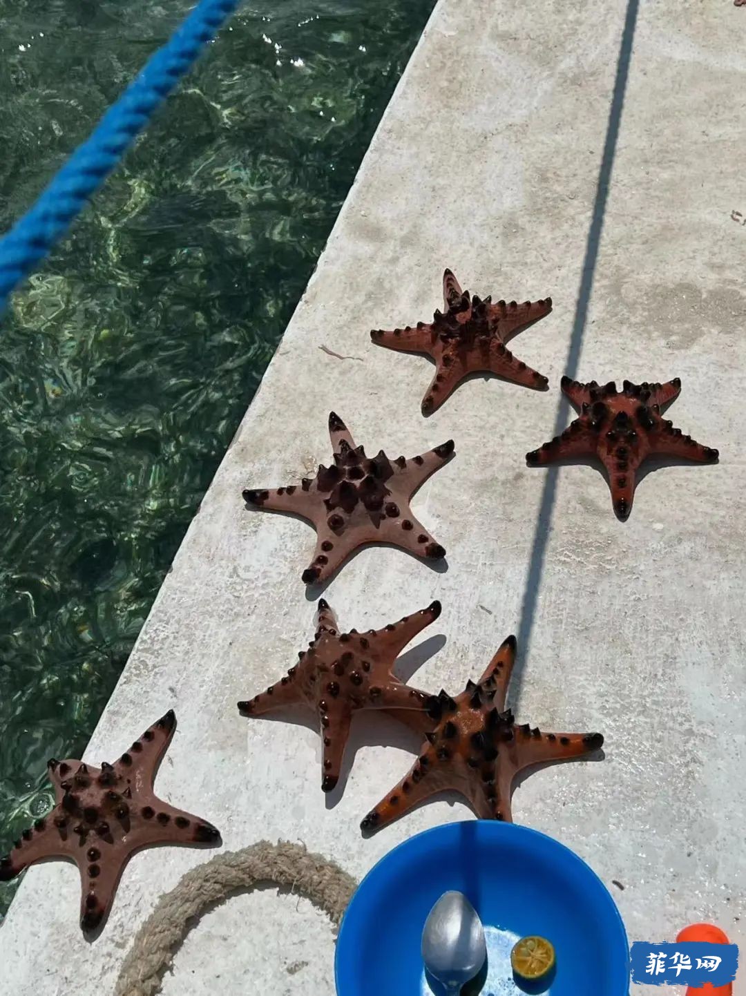 菲律宾Bohol Island - 50瓶才开始的「伪」电子潜水日志 -w25.jpg