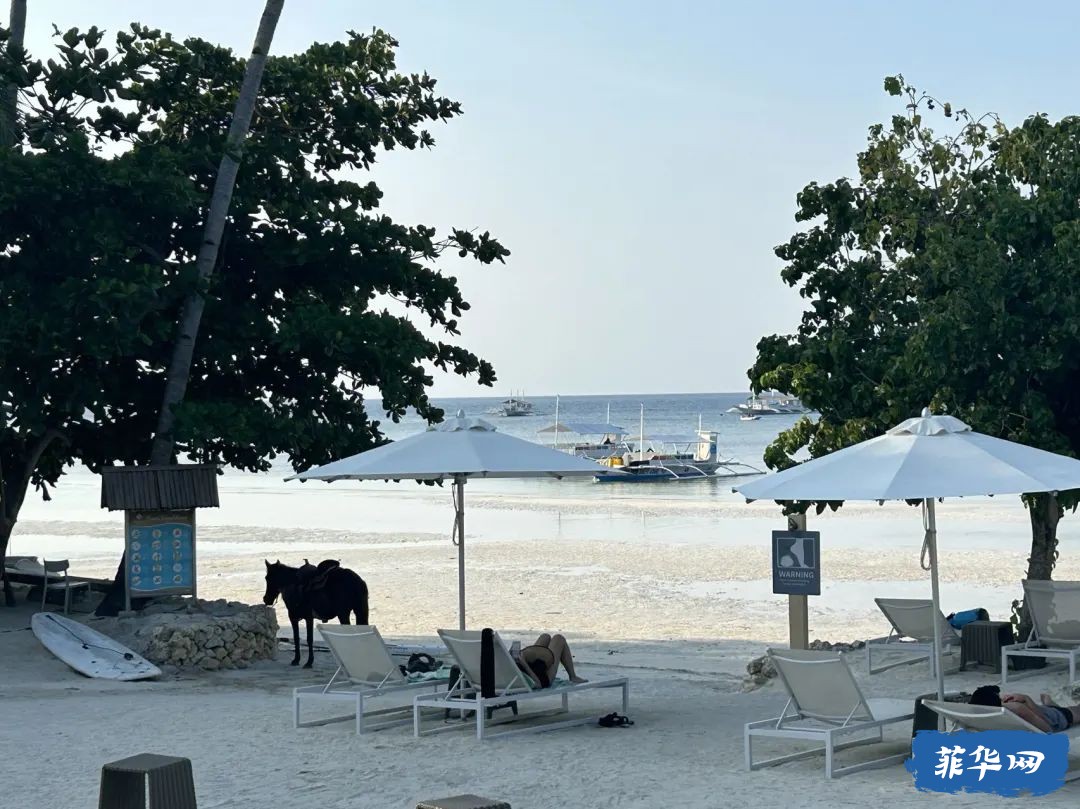 菲律宾Bohol Island - 50瓶才开始的「伪」电子潜水日志 -w38.jpg