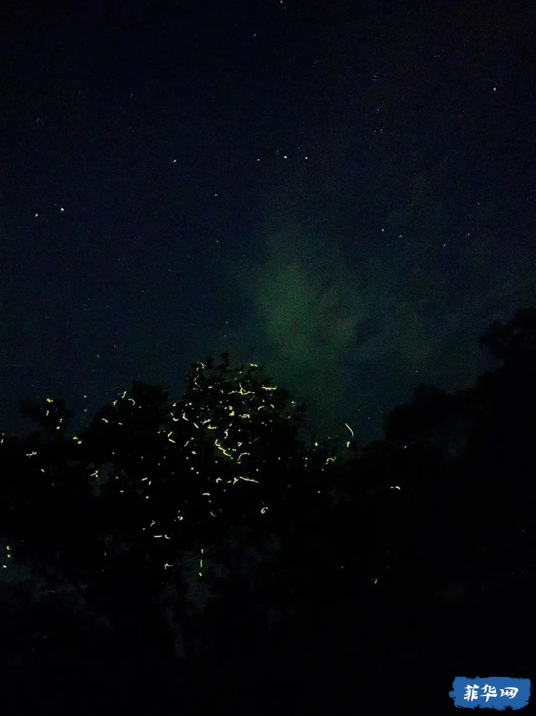 菲律宾Bohol Island - 50瓶才开始的「伪」电子潜水日志 -w36.jpg