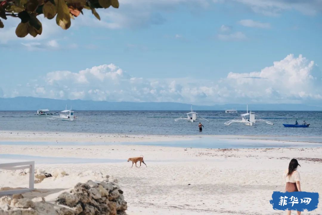 菲律宾游记｜在薄荷岛遇见薄荷色的海w58.jpg