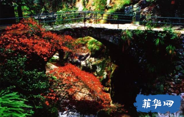 长滩岛，最美沙滩之一w5.jpg