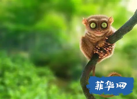 你说薄荷岛不好玩？w32.jpg