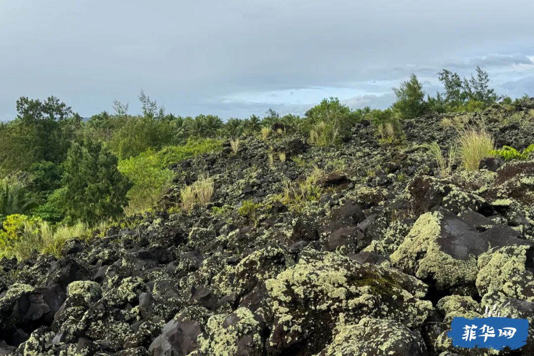 菲律宾十一天深度游（二）黎牙实比看火山w61.jpg